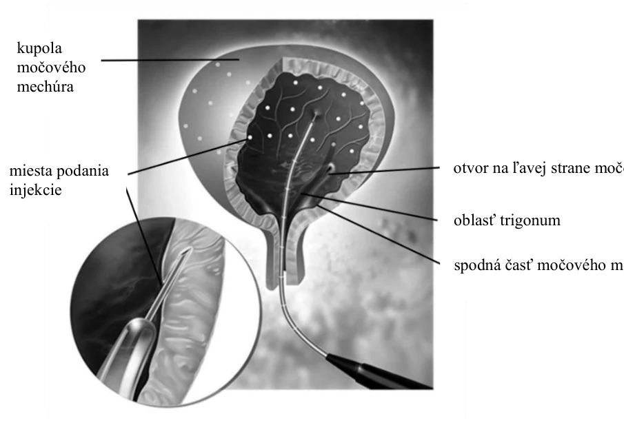 Diagram
Description automatically generated