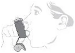 thumbnailELEMENT.317934.1209