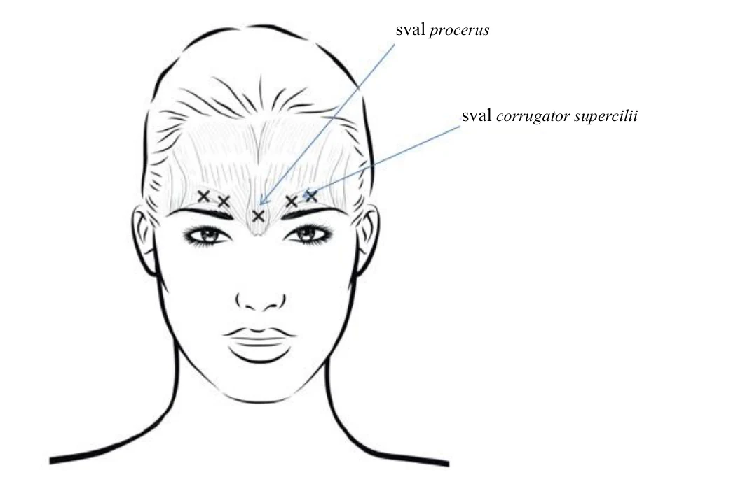 Diagram

Description automatically generated