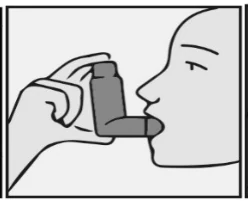 Immagine che contiene schizzo, disegno, clipart, Line art
Descrizione generata automaticamente